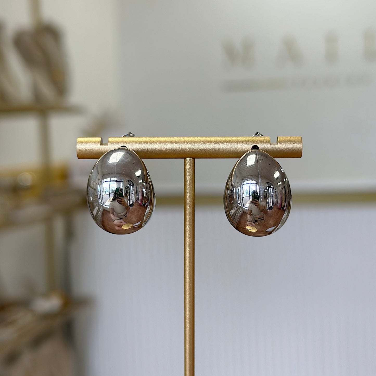 Globe Silver Earrings