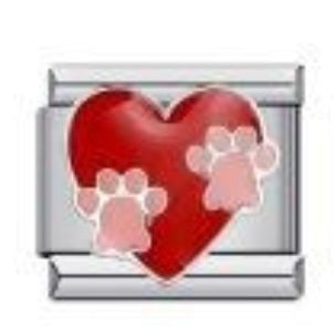 Charm41