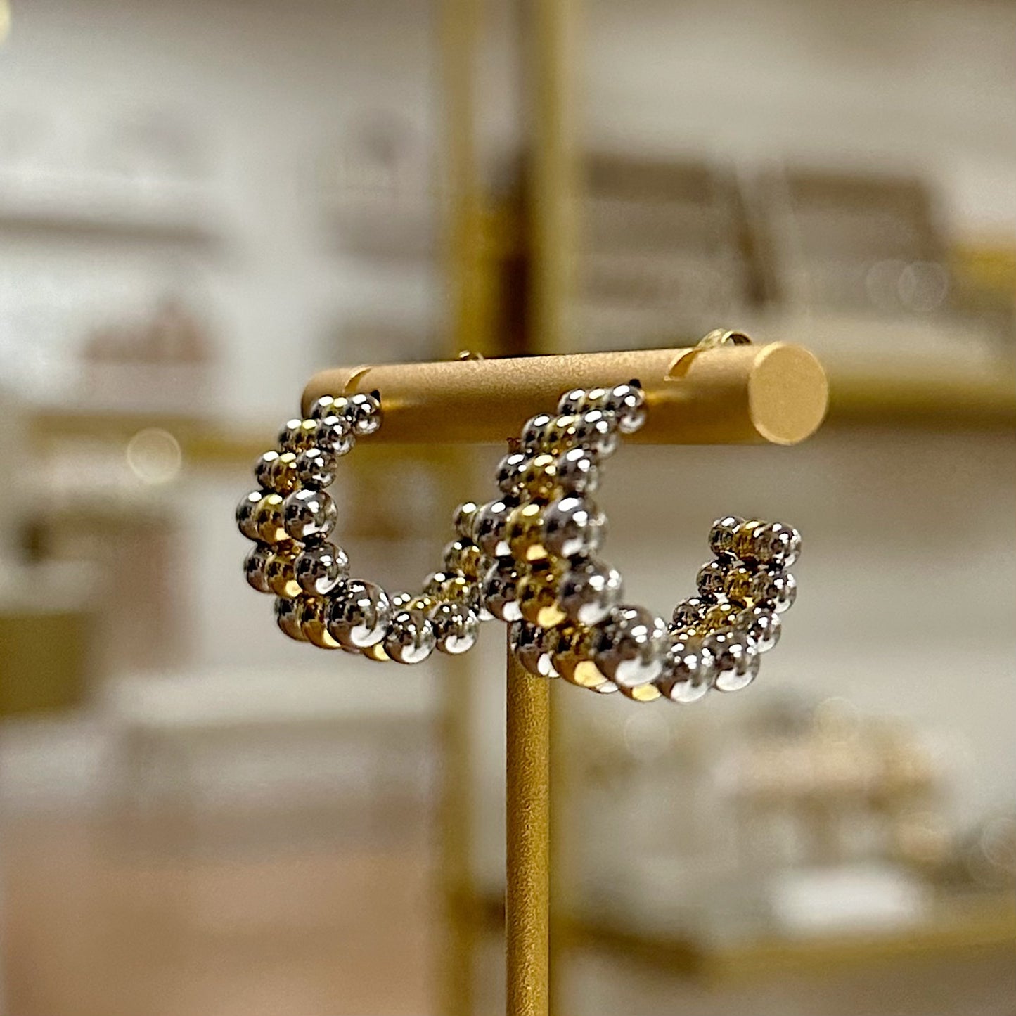 Vita Bicolor Earrings