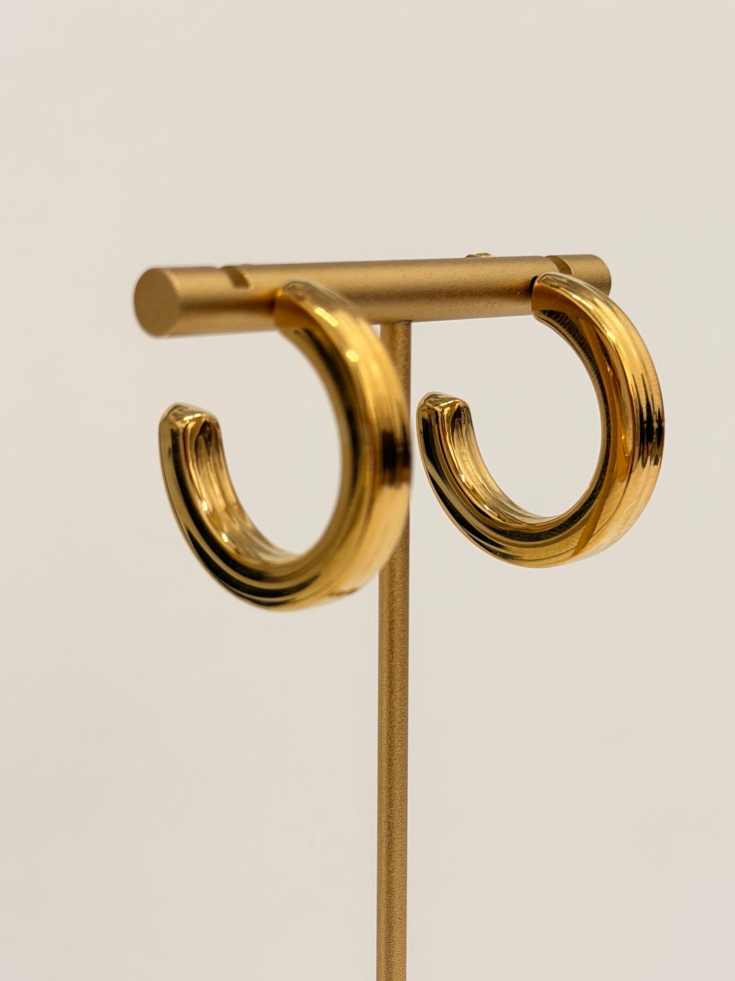 Ale medium hoop earrings