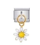 Charm20