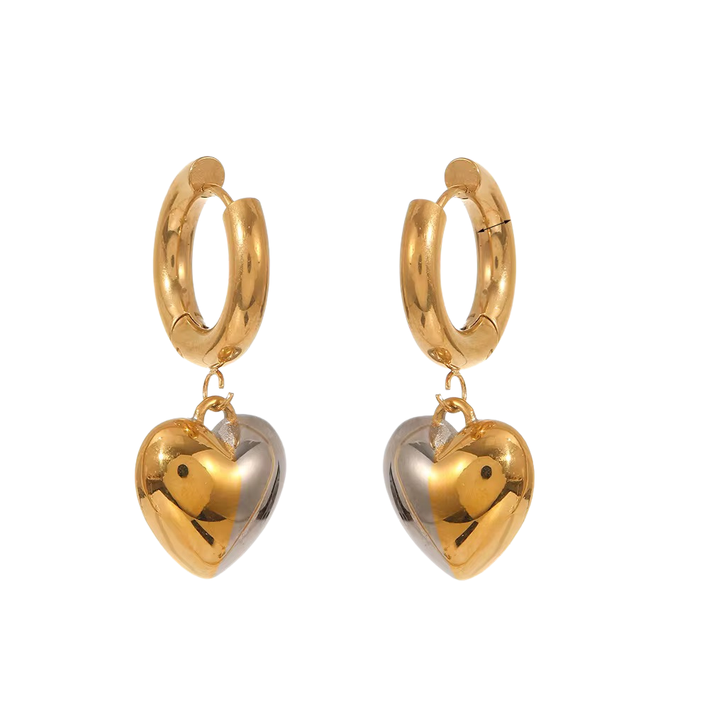 Duo chic earrings