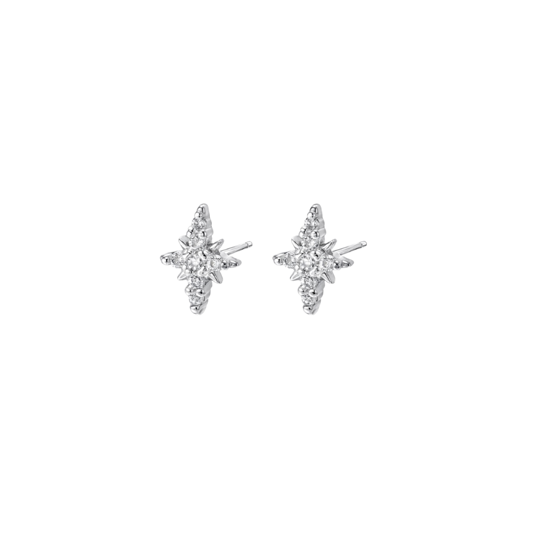 Stella earrings